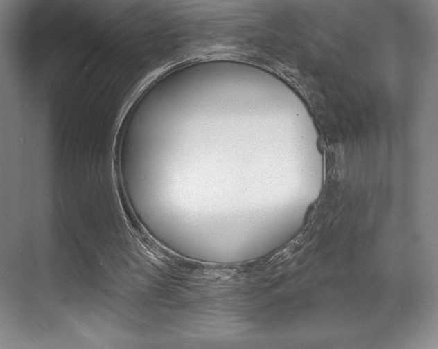 X0000071940147200607071022