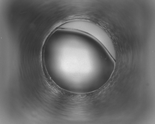 X0000071940148200607071022