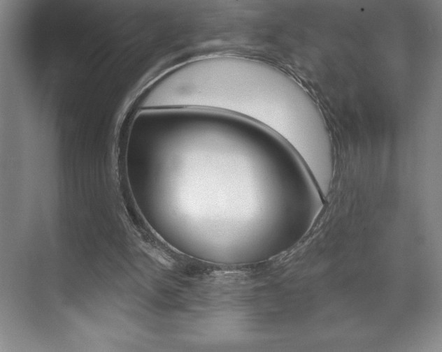 X0000071940150200607071022