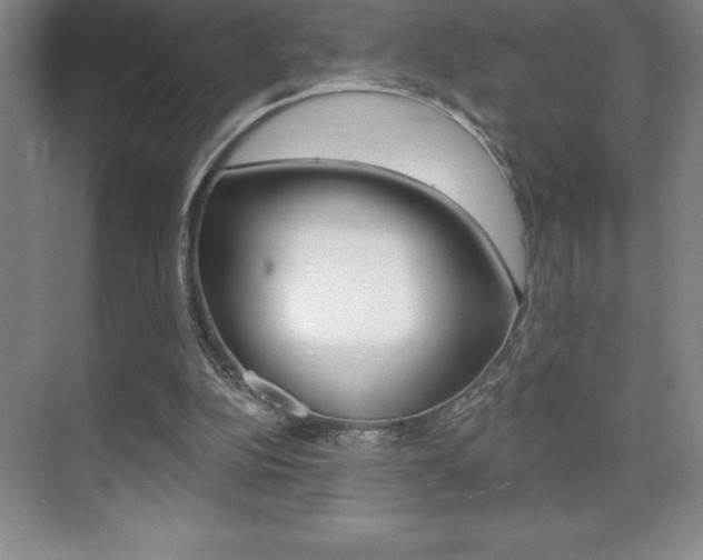 X0000071940152200607071022