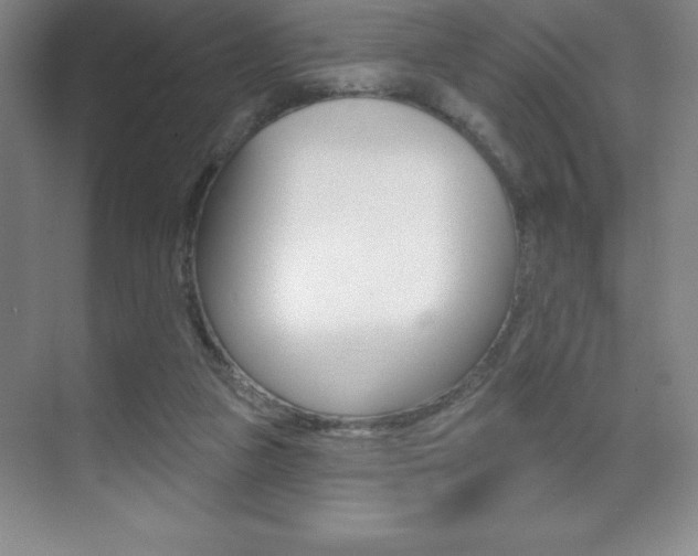 X0000071940161200607071022