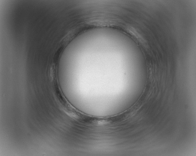 X0000071940165200607071022