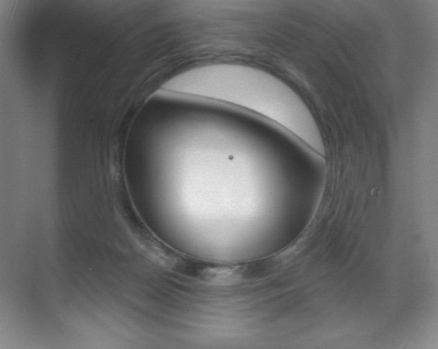 X0000071940170200607071022