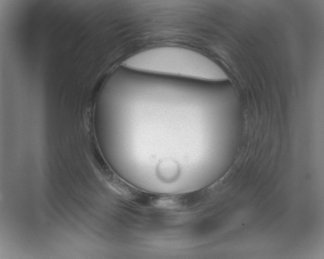 X0000071940171200607071022
