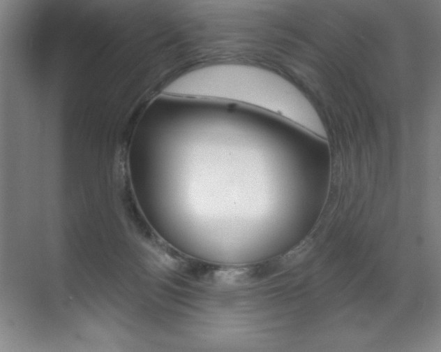 X0000071940172200607071022