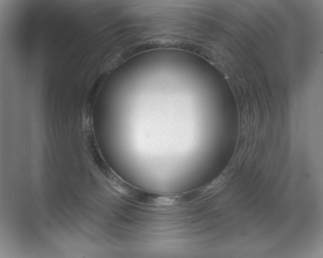 X0000071940176200607071022