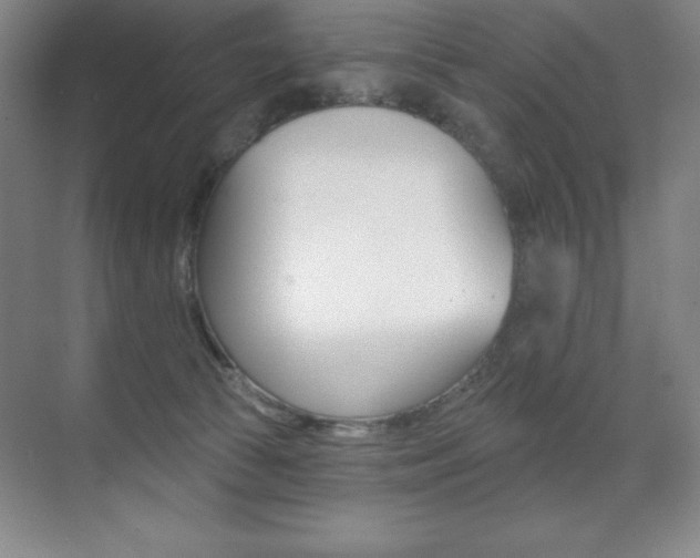 X0000071940177200607071023