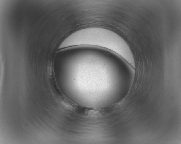 X0000071940180200607071023
