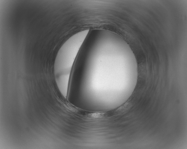 X0000071940184200607071023