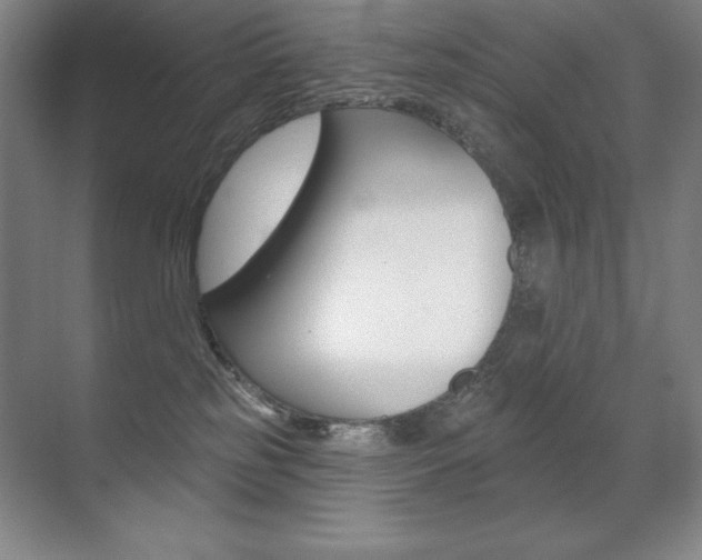 X0000071940185200607071023