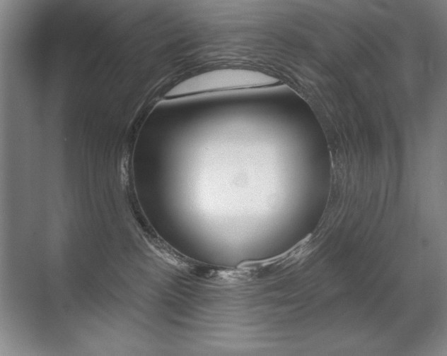 X0000071940188200607071023
