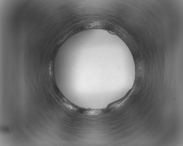 X0000071940191200607071023