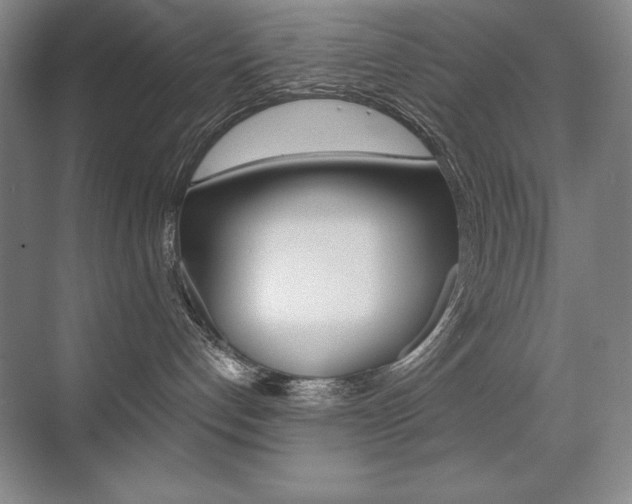 X0000071940192200607071023