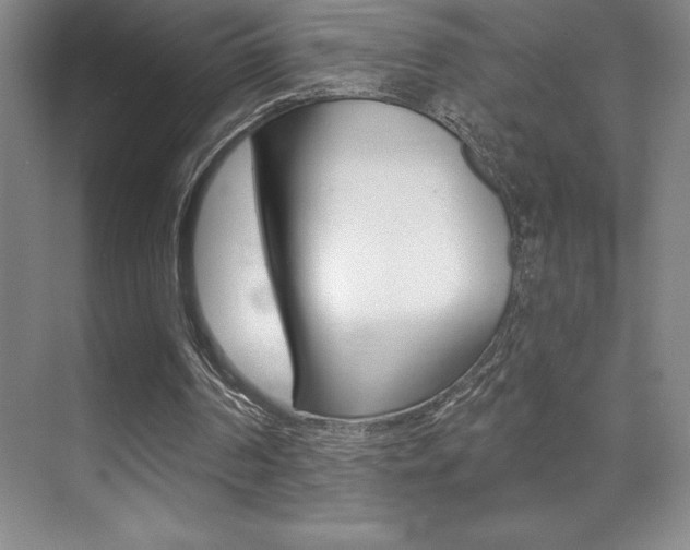 X0000071940194200607071022