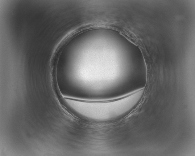 X0000071940197200607071022