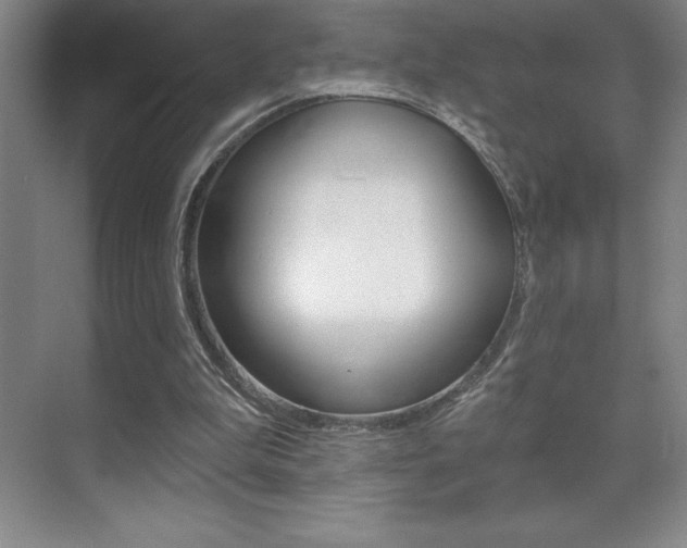 X0000071940199200607071022
