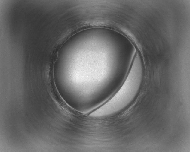 X0000071940201200607071022