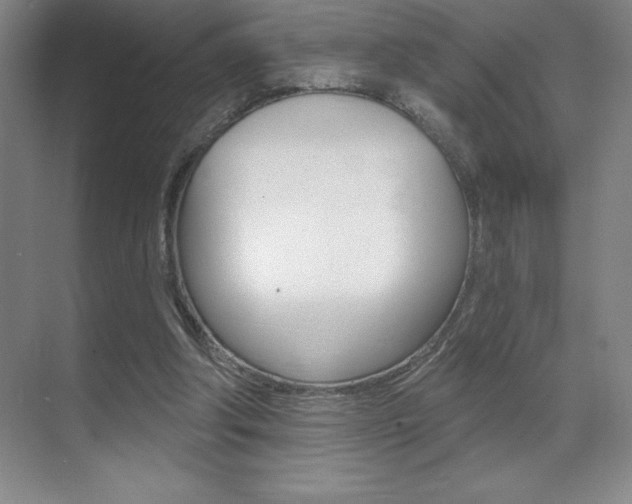 X0000071940202200607071022