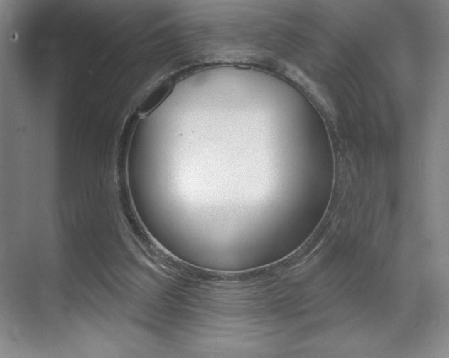 X0000071940203200607071022