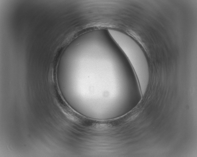 X0000071940205200607071022