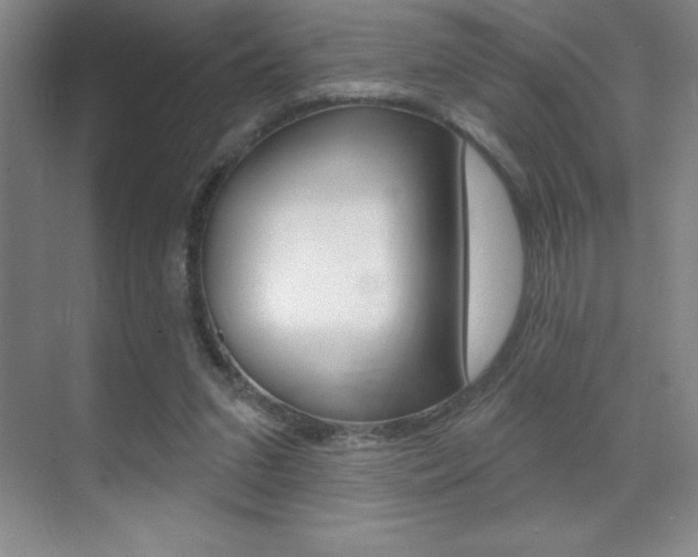 X0000071940207200607071022