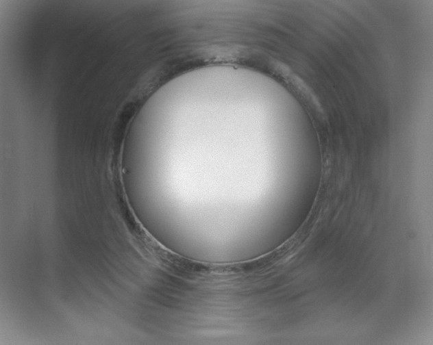 X0000071940209200607071022