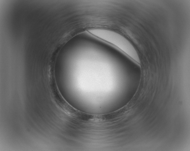 X0000071940211200607071022