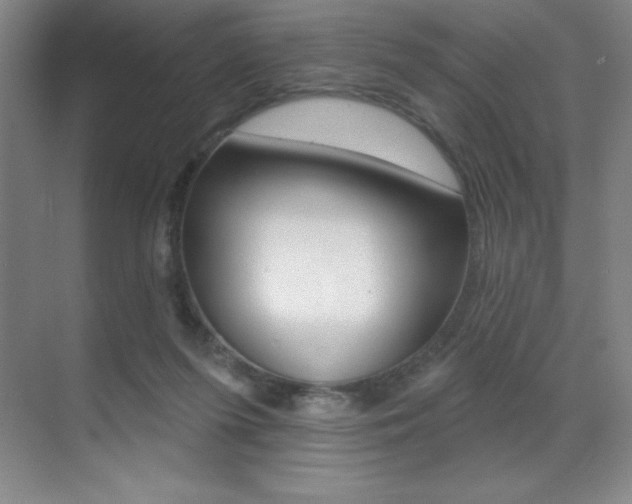 X0000071940215200607071022