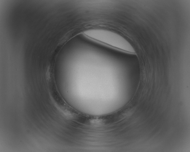 X0000071940216200607071022