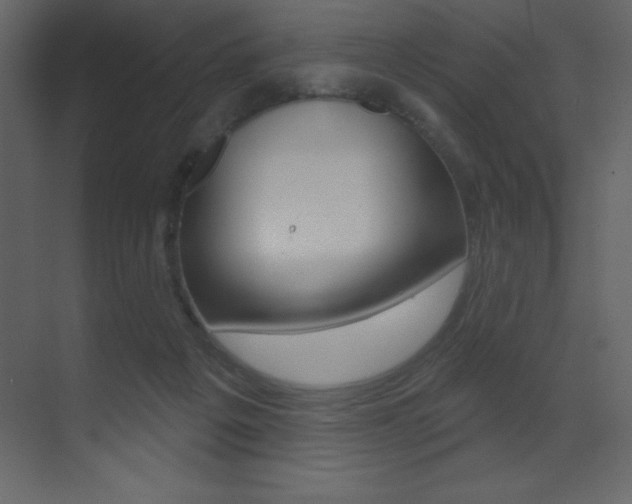 X0000071940217200607071022