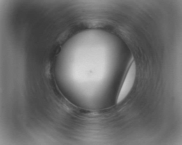 X0000071940219200607071022