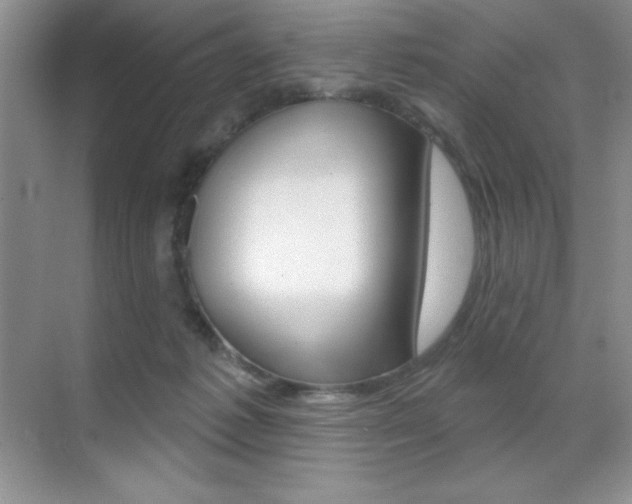 X0000071940221200607071021