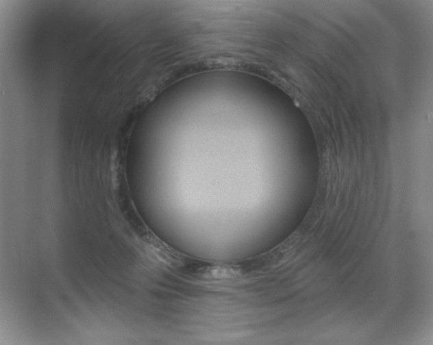 X0000071940223200607071021