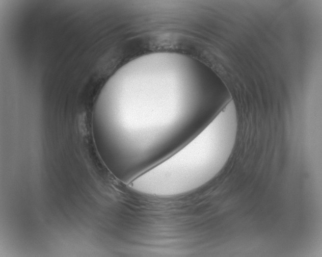 X0000071940224200607071021
