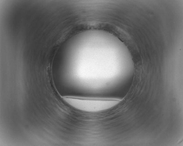 X0000071940225200607071021