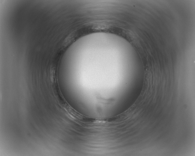 X0000071940227200607071021