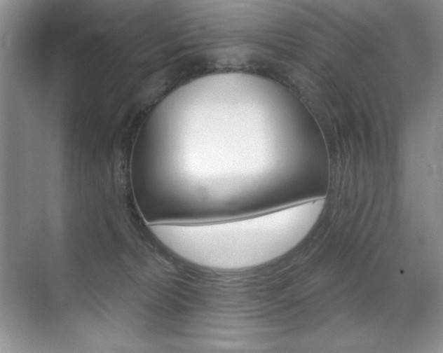 X0000071940228200607071021