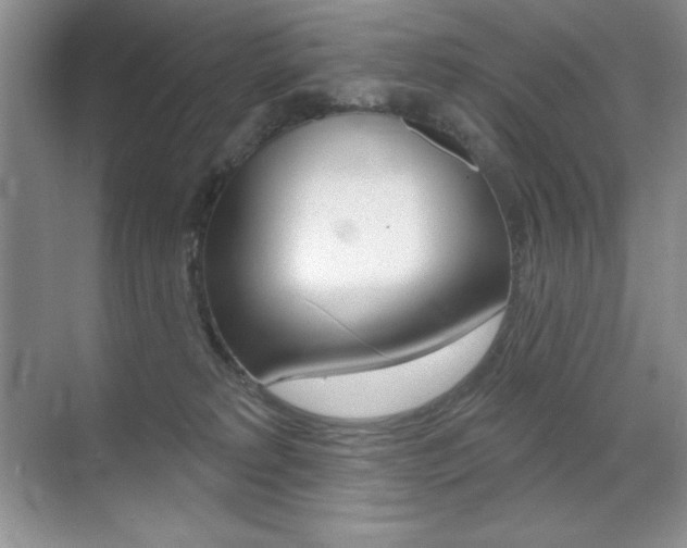 X0000071940229200607071021