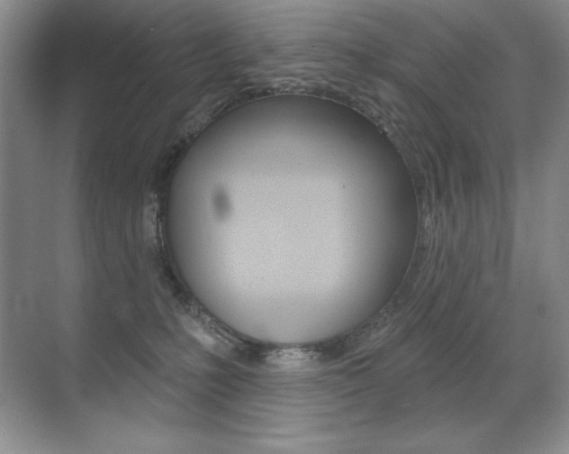 X0000071940231200607071021