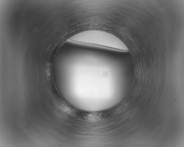 X0000071940232200607071021