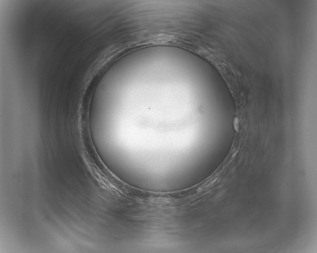 X0000071940242200607071020