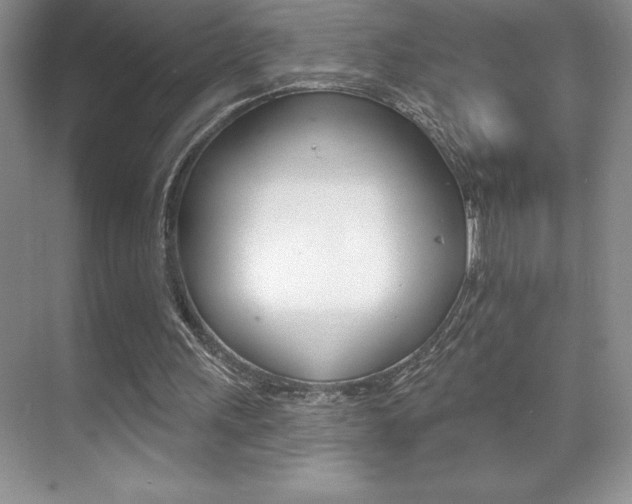 X0000071940243200607071020