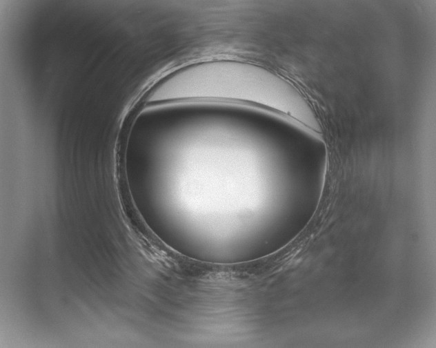 X0000071940244200607071020