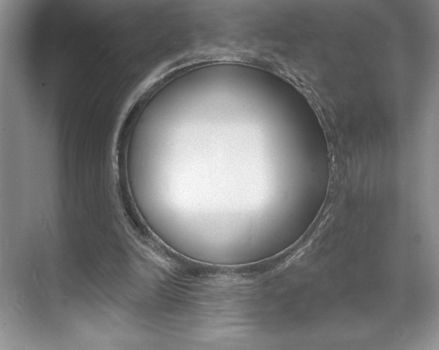 X0000071940246200607071020