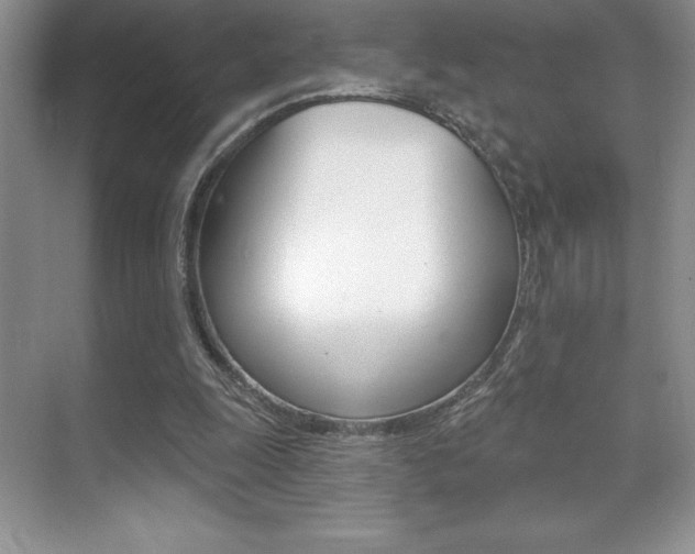 X0000071940247200607071020