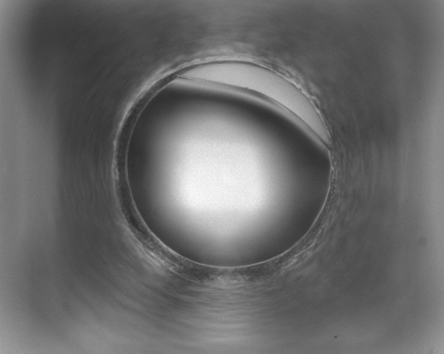 X0000071940248200607071020