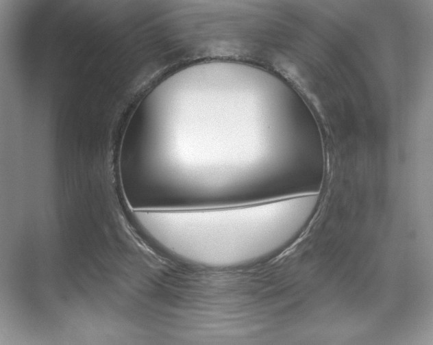 X0000071940249200607071020
