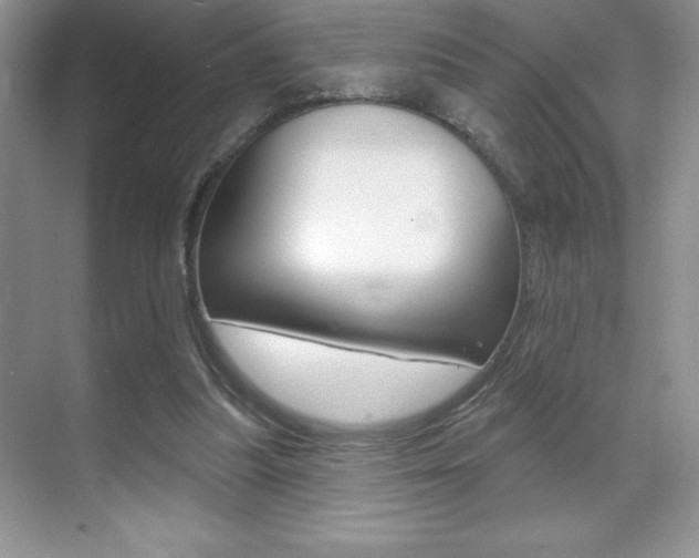 X0000071940251200607071021