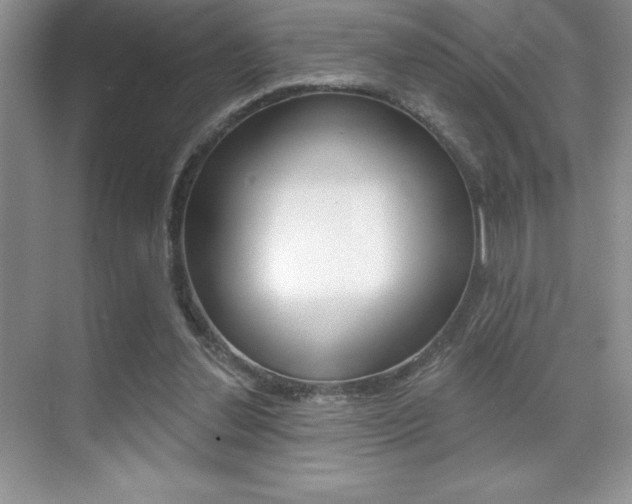 X0000071940252200607071021