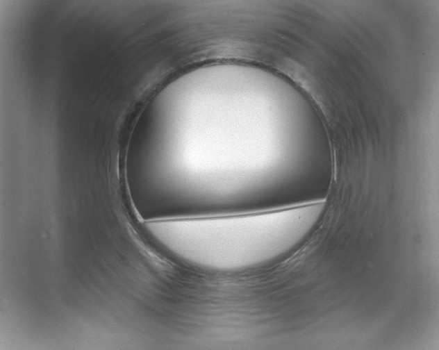 X0000071940253200607071021